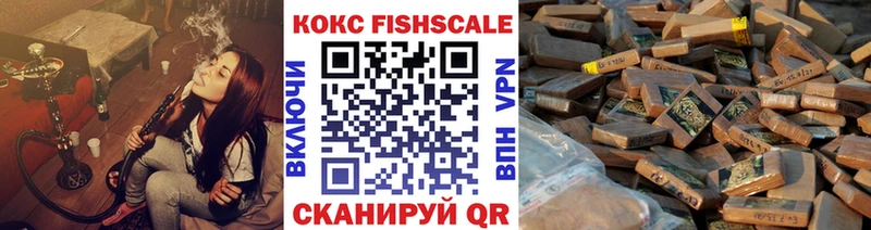 Cocaine Fish Scale  как найти   Слободской 