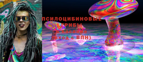 первитин Саяногорск